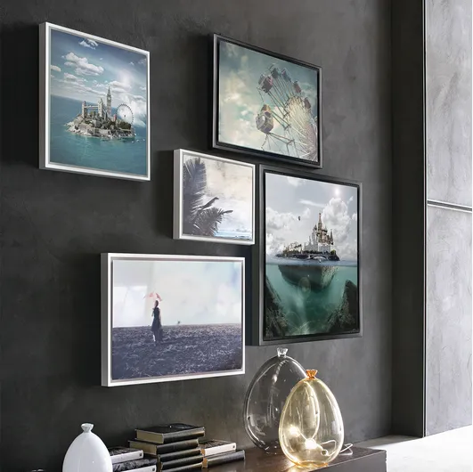 Canvas paintings with Adriani's and Rossi's frames.