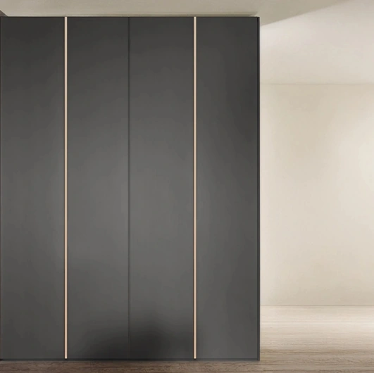 Gliss Master Wardrobe - Paris Door by Molteni & C