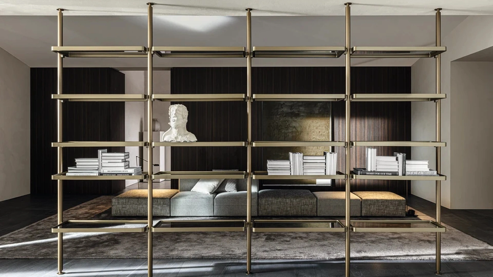 Hector aluminum room divider bookcase by Molteni & C
