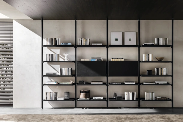 Hector bookcase in wood by Molteni & C