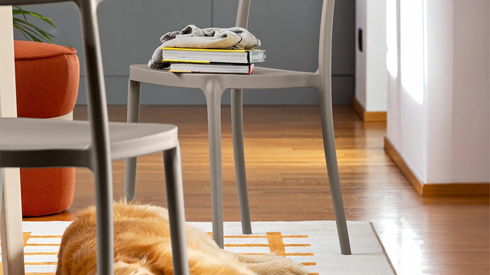 Argo chair made of polypropylene by Connubia.