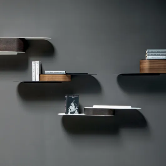Tonin Casa metal and wood snowboard shelves