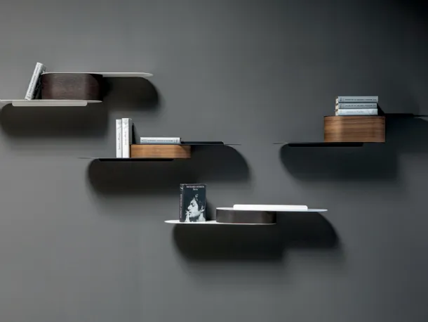 Tonin Casa metal and wood snowboard shelves