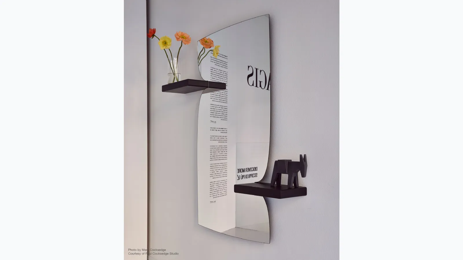 Morphed Mirror by Magis with shelves