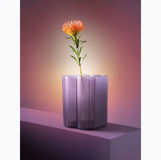 Kartell's Okra V
