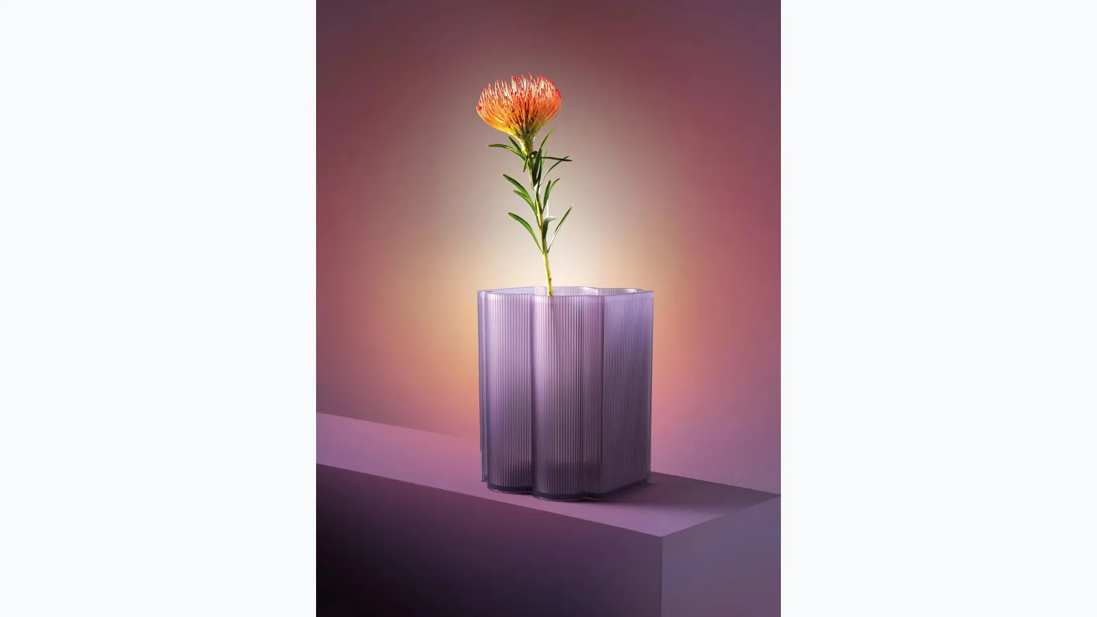 Kartell's Okra V