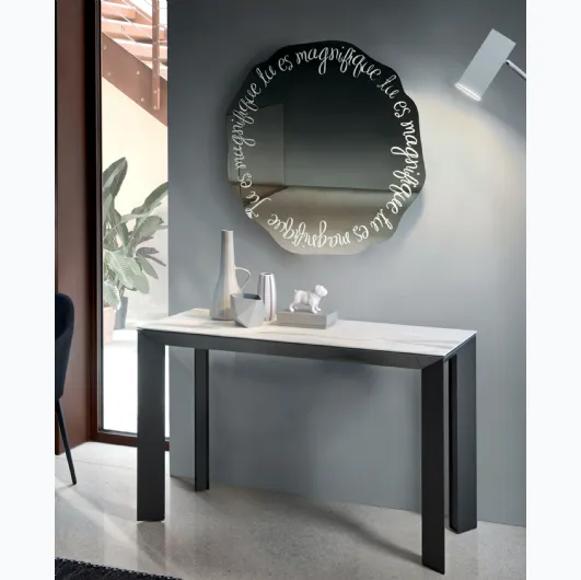 Mirror Magnifique of Reflections