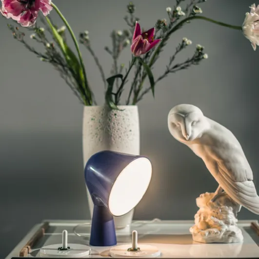 Foscarini's Binic table lamp.