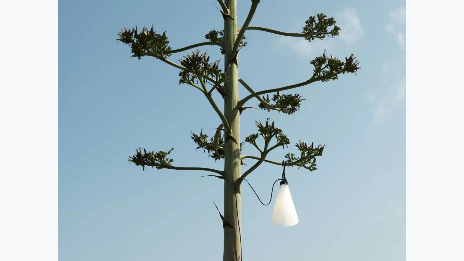 Mayday Outdoor lamp by Flos