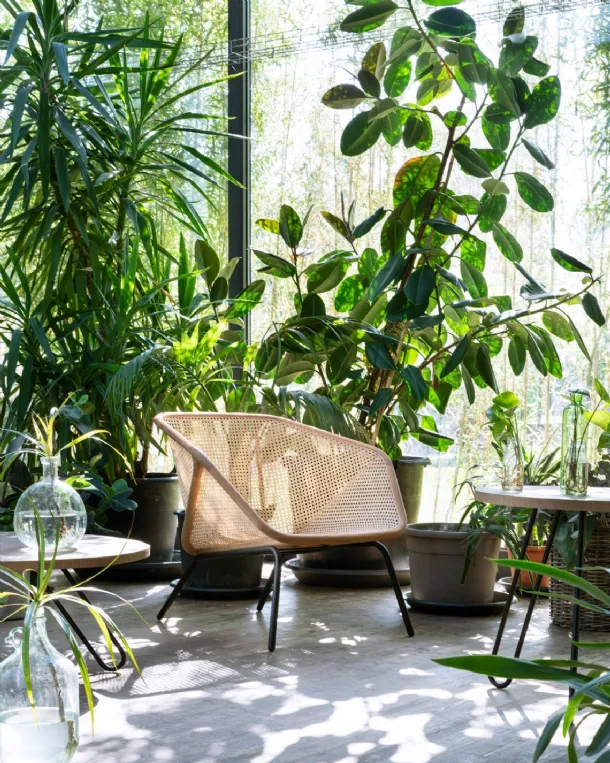 Colony Armchair armchair by Miniforms