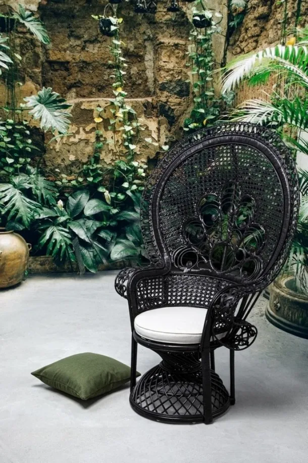 Peacock rattan armchair by Bizzotto.