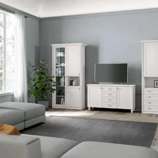 Arcadia AS016 bookcase by Colombini Casa