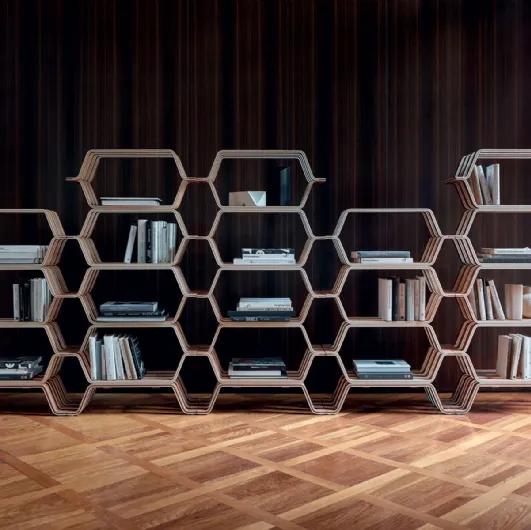 Bookcase MHC2 by Molteni