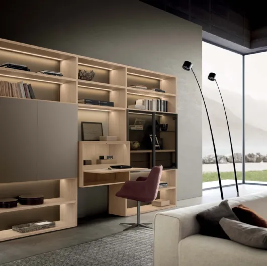 Pari & Dispari 09 wooden bookcase with matte lacquered doors and Presotto glass