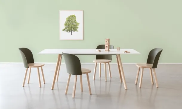 Chair with seat and legs in solid ash wood, backrest in Alpina polypropylene by Magis.