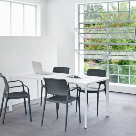 Ara stackable chair by Pedrali