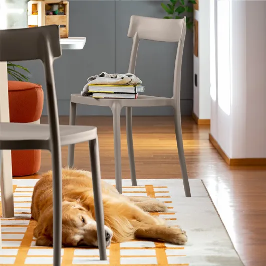 Argo chair made of polypropylene by Connubia.
