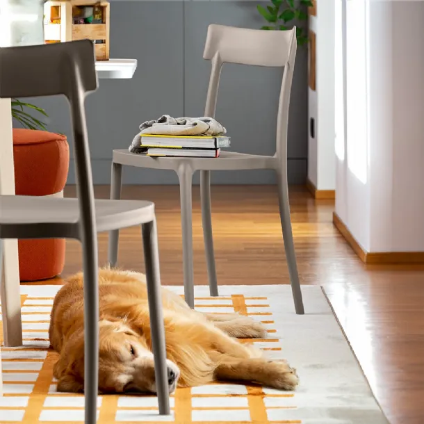 Argo chair made of polypropylene by Connubia.