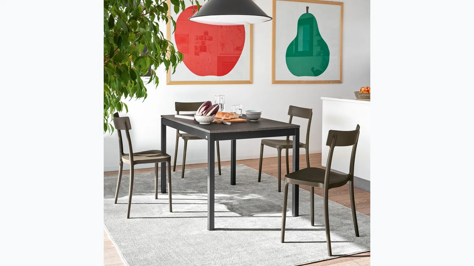 Argo chair with classic design in polipropylene by Connubia.