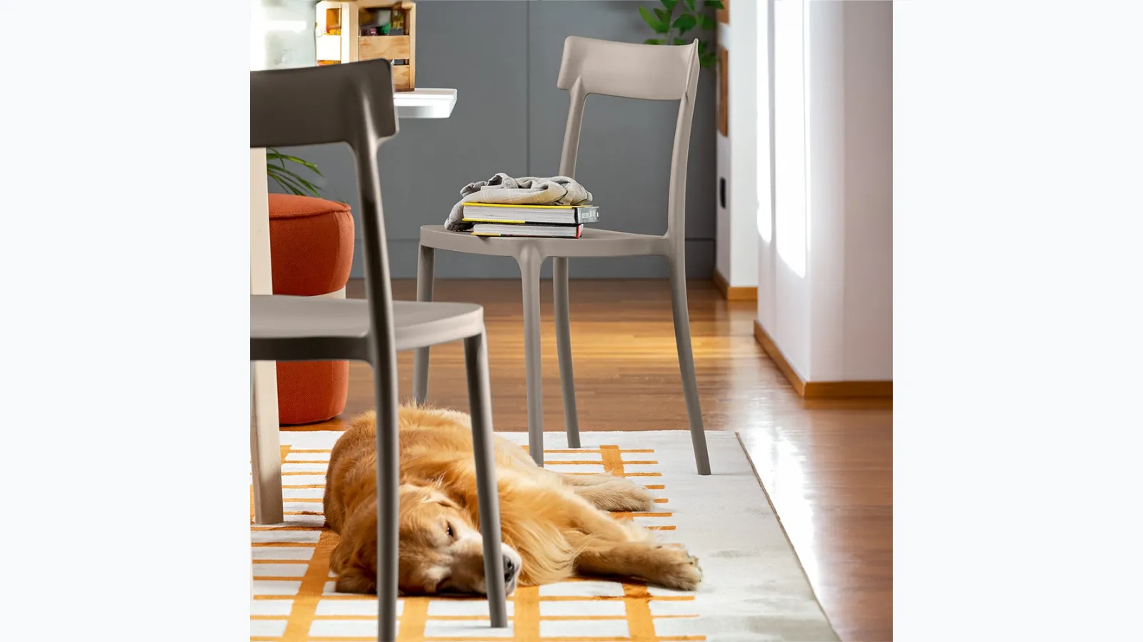 Argo chair with a classic design in polypropylene by Connubia.