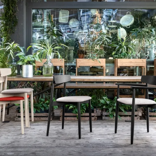 Stackable Claretta chair in wood with or without armrests, with upholstered fabric seat by Miniforms.