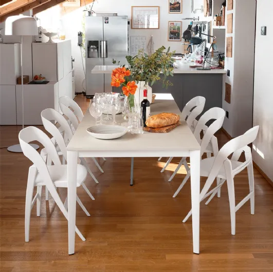 Folding chair Clikclak by Connubia