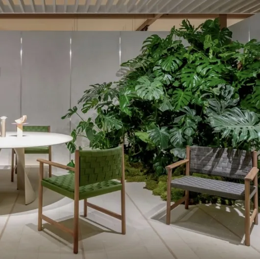 Griante chair by Pedrali