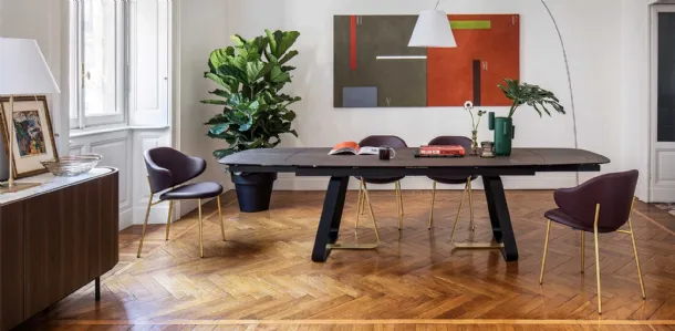 Holly chair by Calligaris