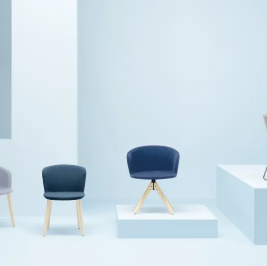 Nym Soft chair by Pedrali