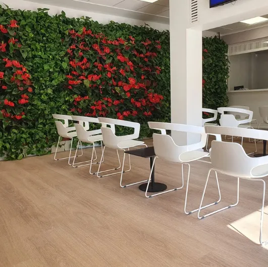 Segesta chair by Alias