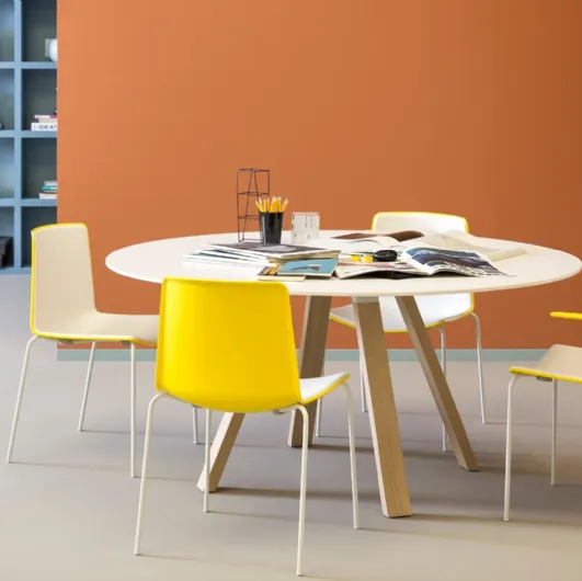 Tweet chair by Pedrali