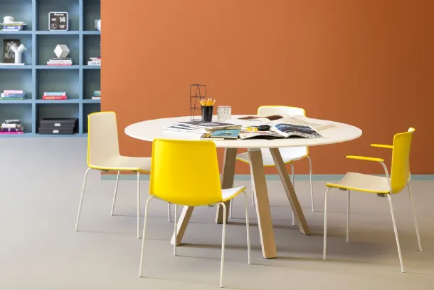 Tweet chair by Pedrali