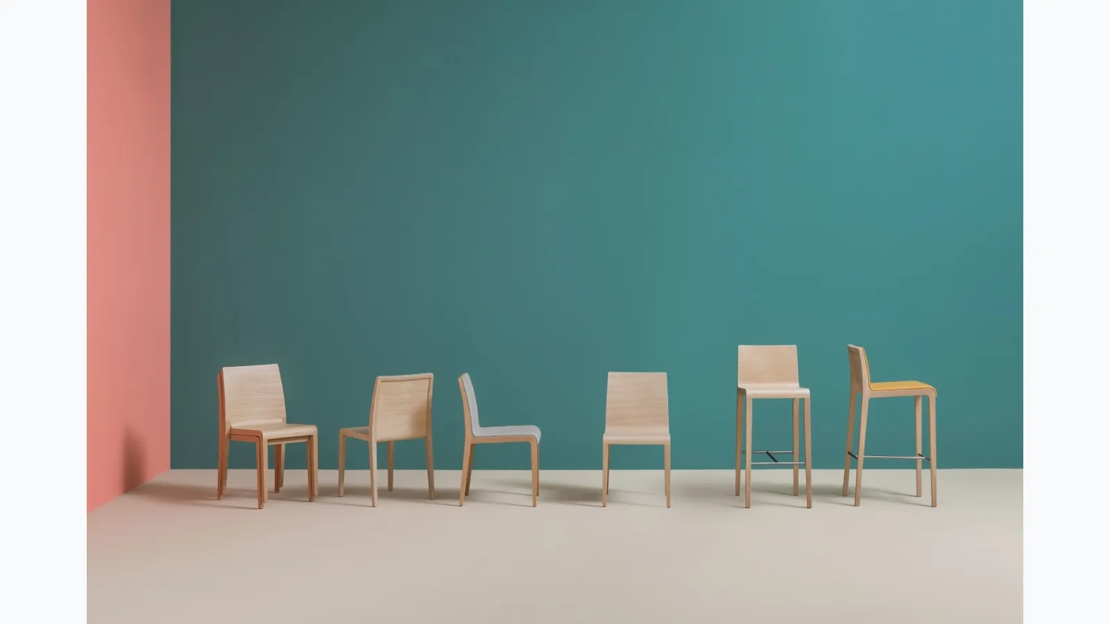 Young chair by Pedrali