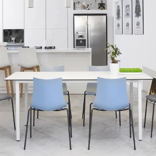 Zebra Chair by Scab Design