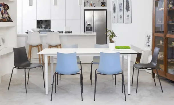Zebra Chair by Scab Design