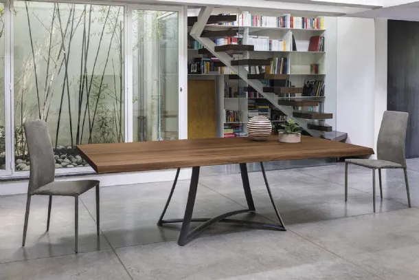 Big Bang wooden table by Ingenia
