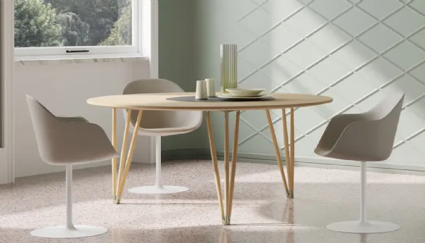 Alias Plettro table