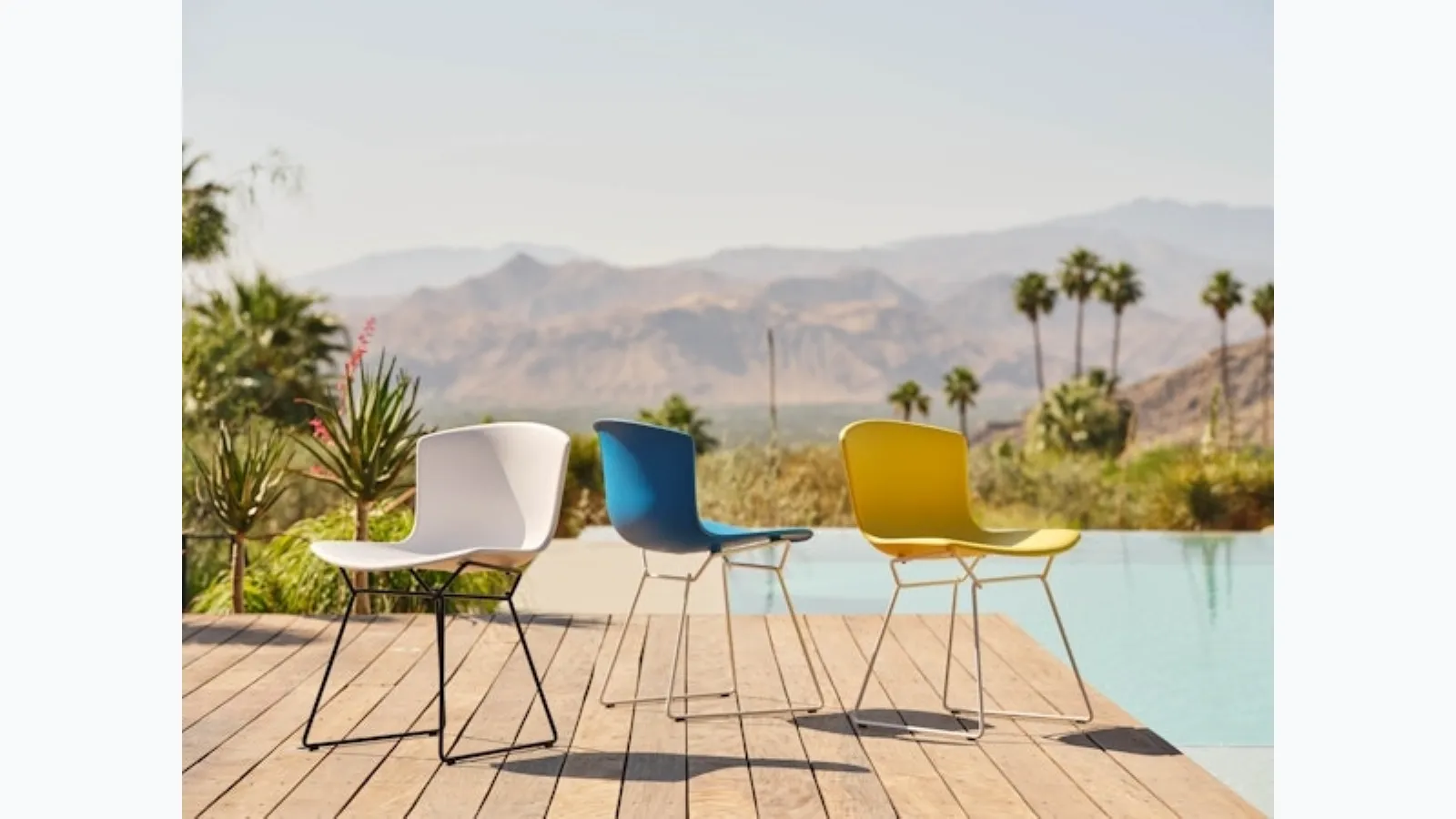 Bertoia Molded Shell Side Chair by Knoll.