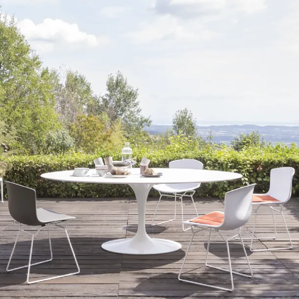 Knoll Bertoia Plastic Side Chair