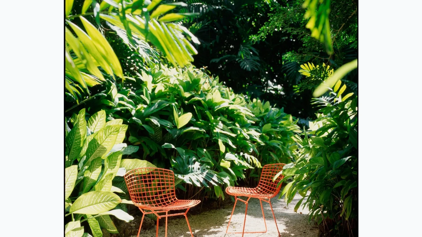 Bertoia Side Chair Outdoor by Knoll
