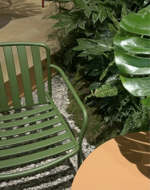 Coney chair by Pedrali