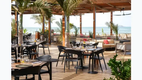 Gossip chair by Pedrali