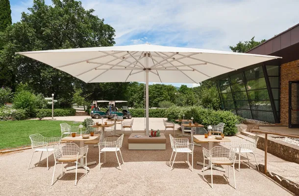 Emu's Major Parasol