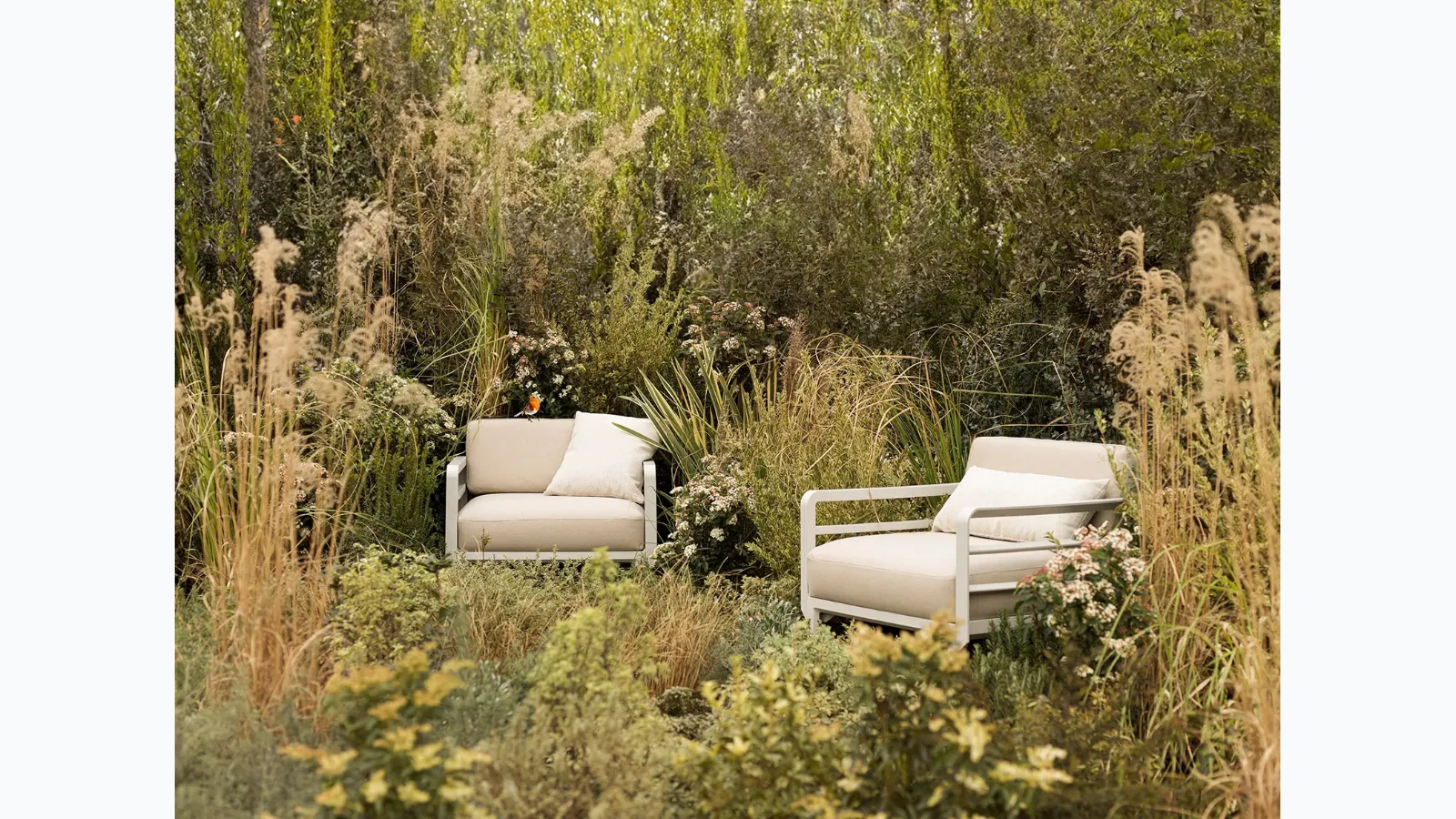 Maximo armchair by Nardi