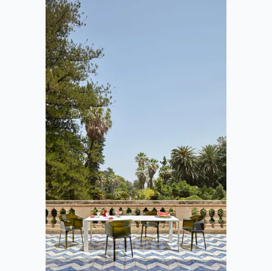 Papyrus chair by Kartell