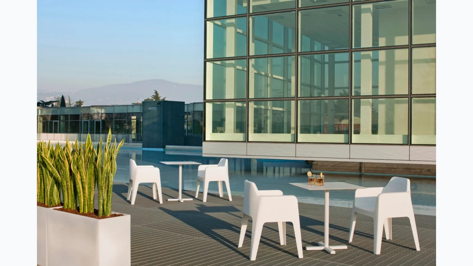 Pedrali Plus Chair