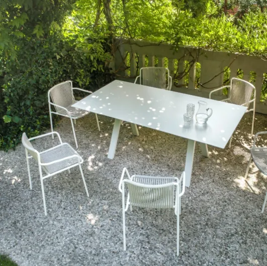 Tribeca chair by Pedrali