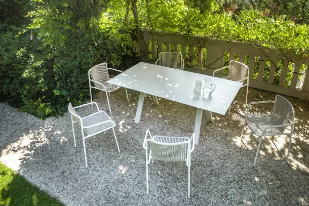 Tribeca chair by Pedrali