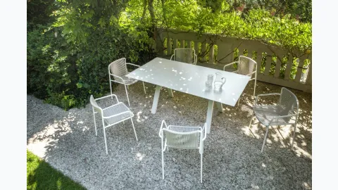 Tribeca chair by Pedrali