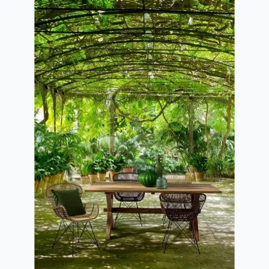 Rattan armchair Venturs by Bizzotto